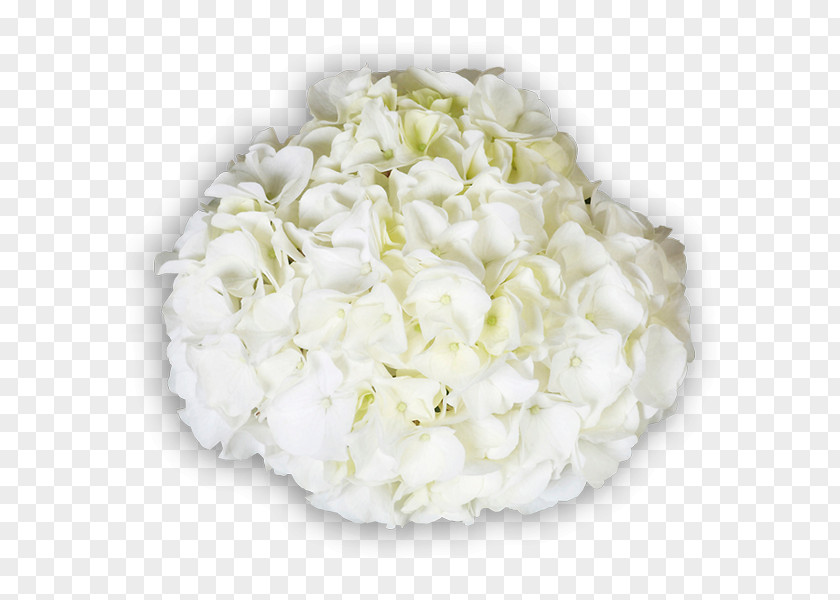 Flower Hydrangea Floral Design Cut Flowers Bouquet PNG