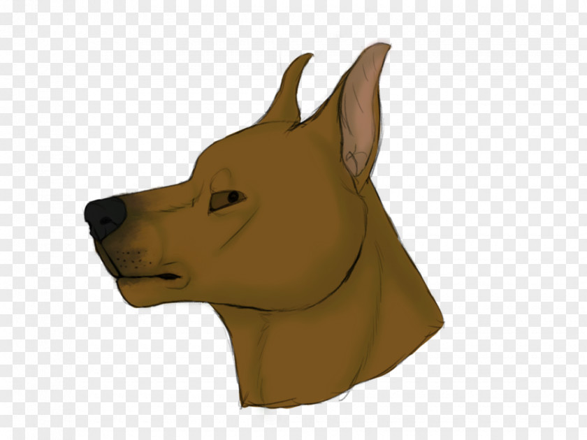 German Pinscher Dog Breed Snout Character Nose PNG