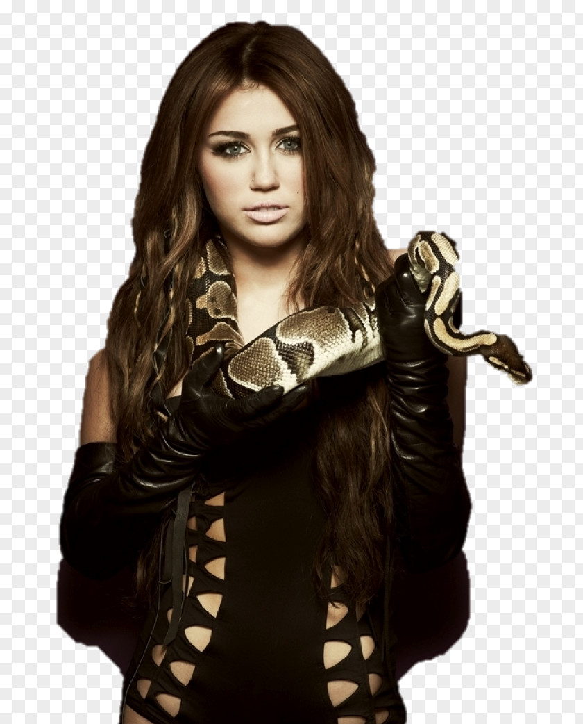 Miley Cyrus Can't Be Tamed Female Celebrity Photography PNG