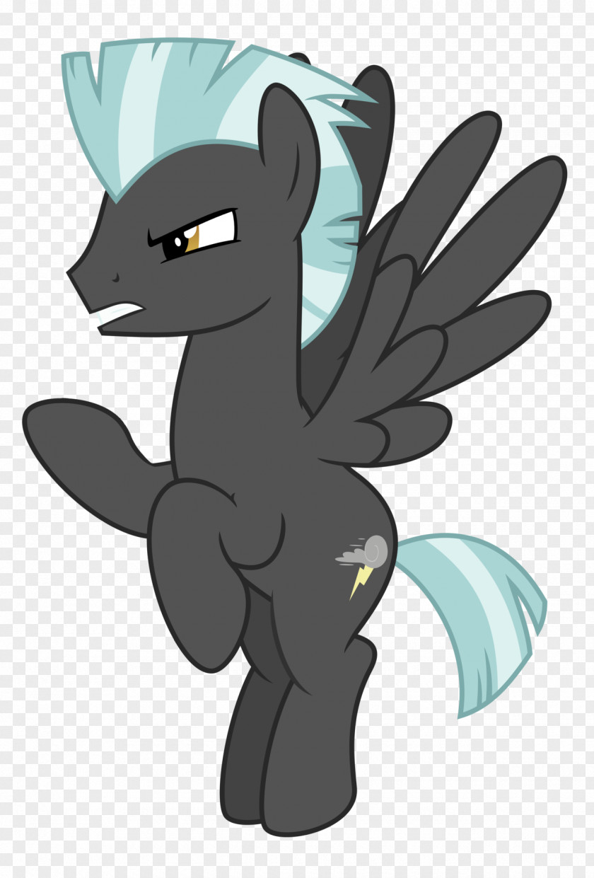 Pegasus Rainbow Dash Rarity My Little Pony Thunderlane PNG