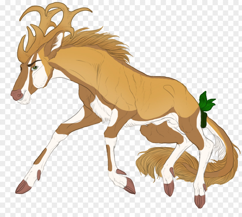 Reindeer Pony Mustang Drawing PNG