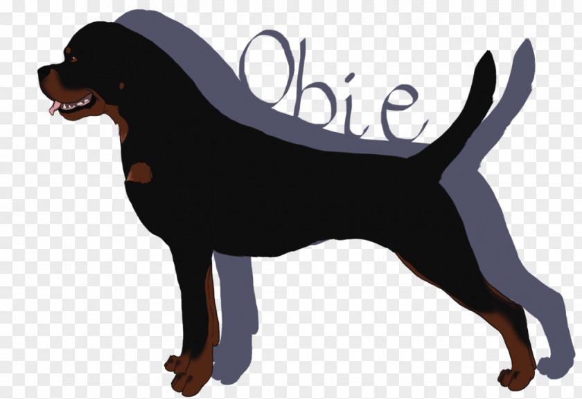 The Dog Is Paying A New Year Call Black And Tan Coonhound Smaland Hound Rottweiler Austrian Breed PNG