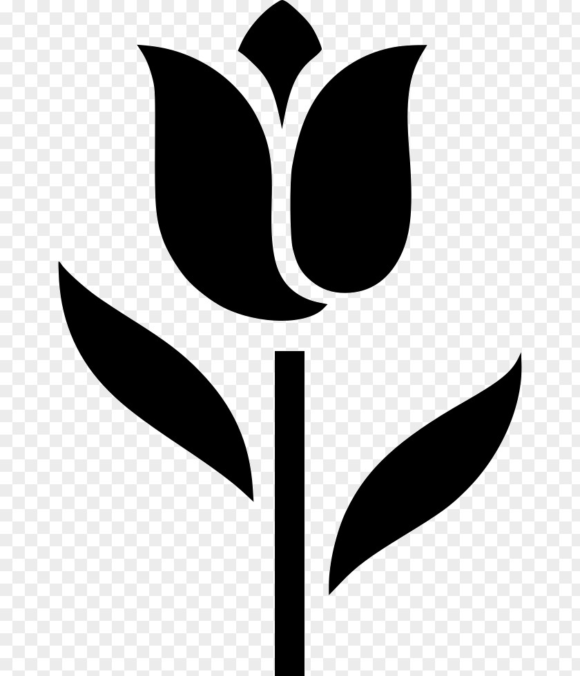 Tulip Indira Gandhi Memorial Garden Clip Art PNG