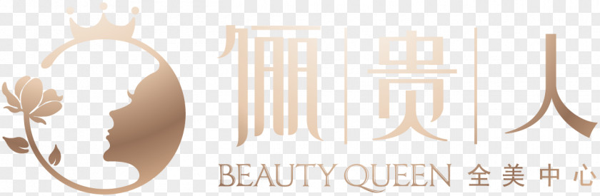 Beauty Queen 激光器 Brand Logo Picosecond PNG