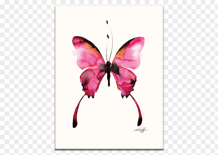 Butterfly Watercolor Painting Art Drawing PNG