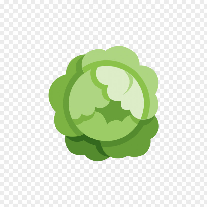 Food Vegetarian Cuisine Vegetable PNG