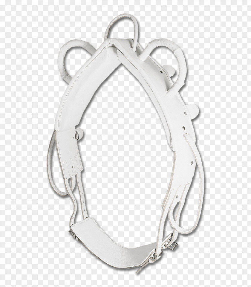 Horse Tack Equestrian Vaulting Surcingle PNG