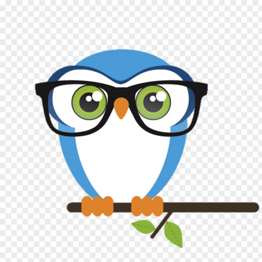Owl Bird Glasses Nerd Clip Art PNG