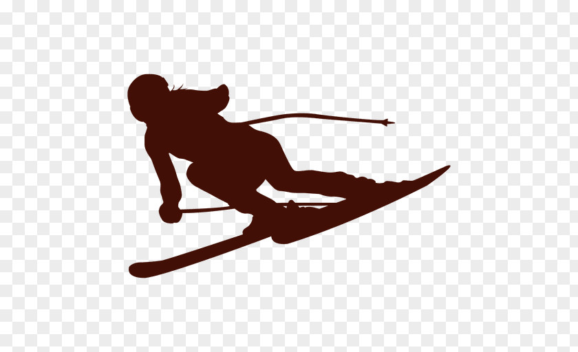 Skiing United States Ski Team And Snowboard Association Jumping PNG