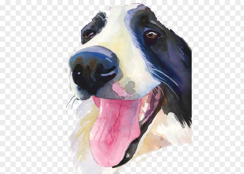 Tongue Sticking Out Dog Border Collie Boston Terrier Labrador Retriever Rough Puppy PNG