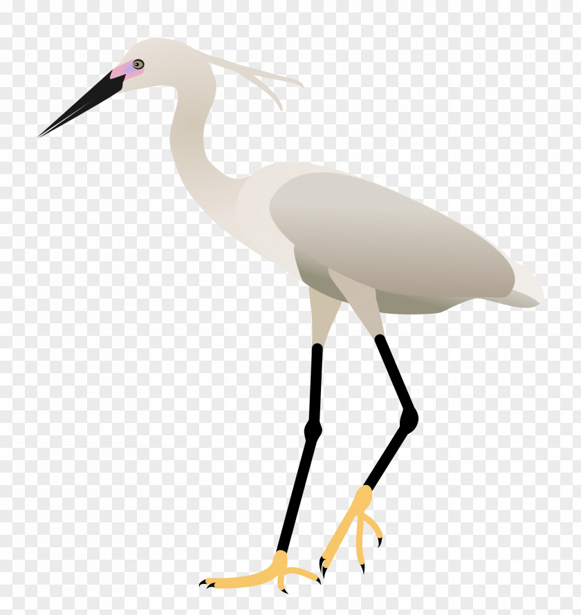 Bird Egret Pelican White Stork Crane PNG