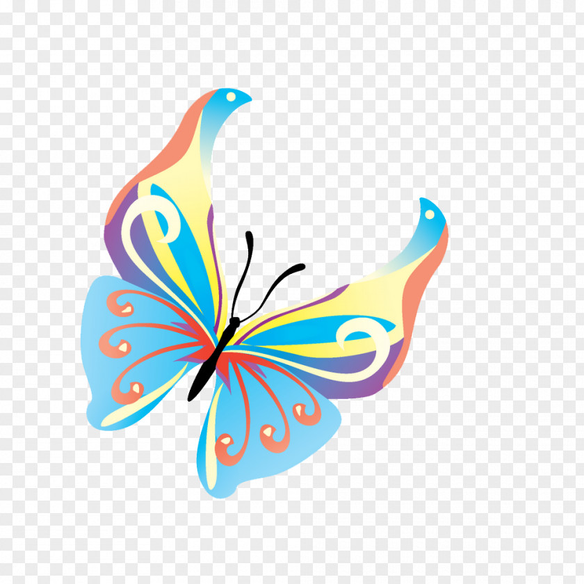 Butterflies Vector Transparent Background Butterfly Insect Clip Art PNG