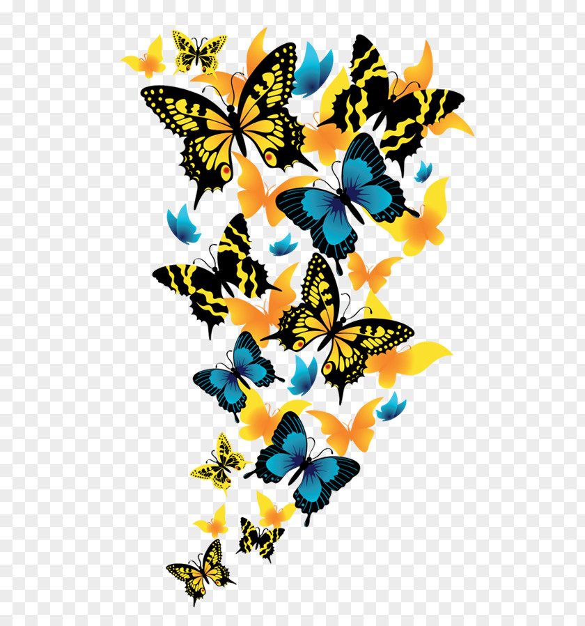 Butterfly Clip Art PNG