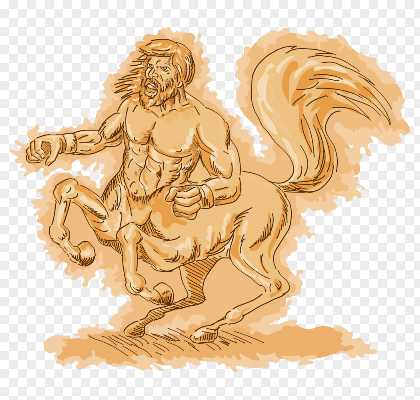 Centaur Stock Photography Image Illustration PNG