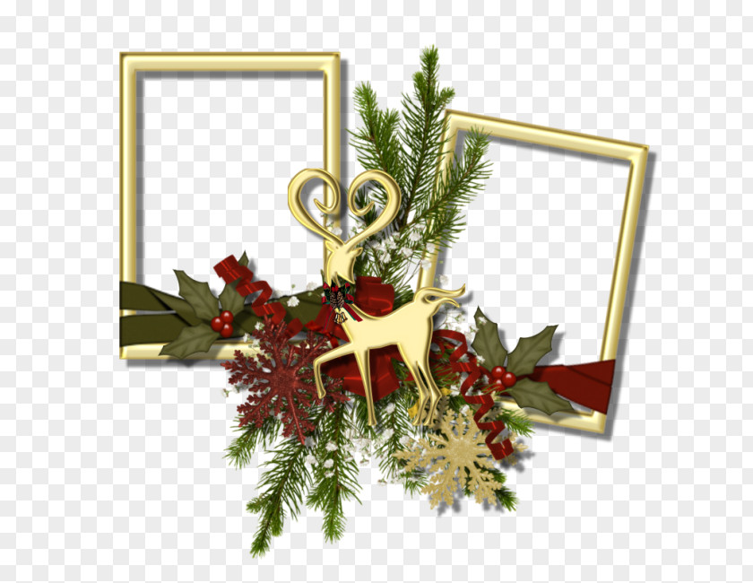 Christmas Scrapbooking Photography Clip Art PNG