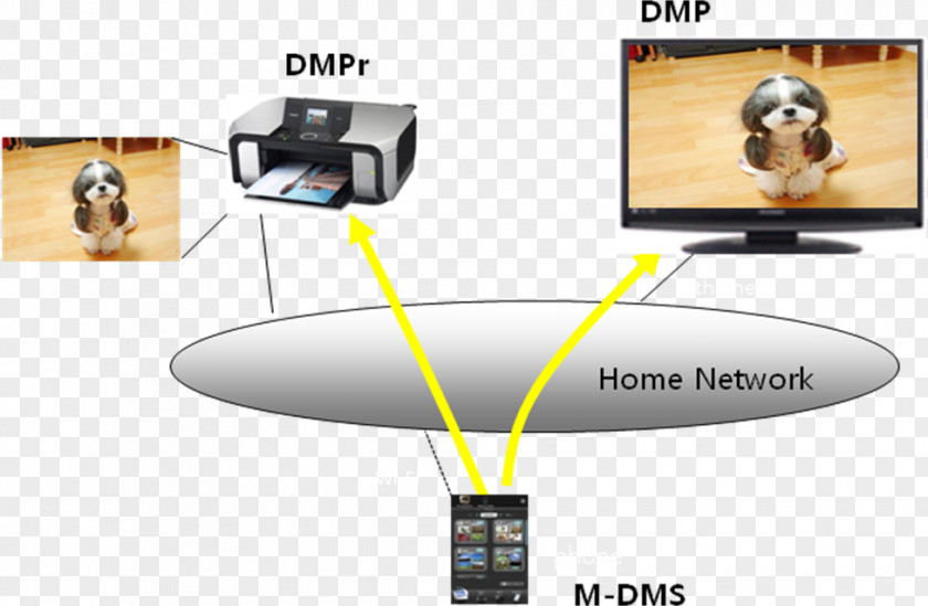 Dmpr Multimedia Digital Living Network Alliance Set-top Box Java TV Media PNG