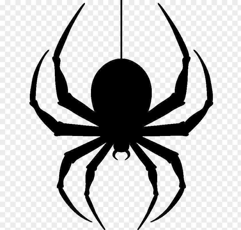 Hanging Spider Transparent Image Clip Art PNG