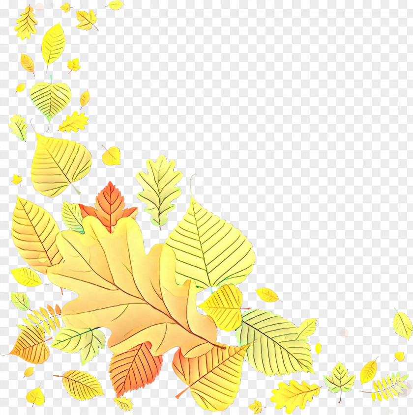 Vascular Plant Branch Autumn Tree PNG
