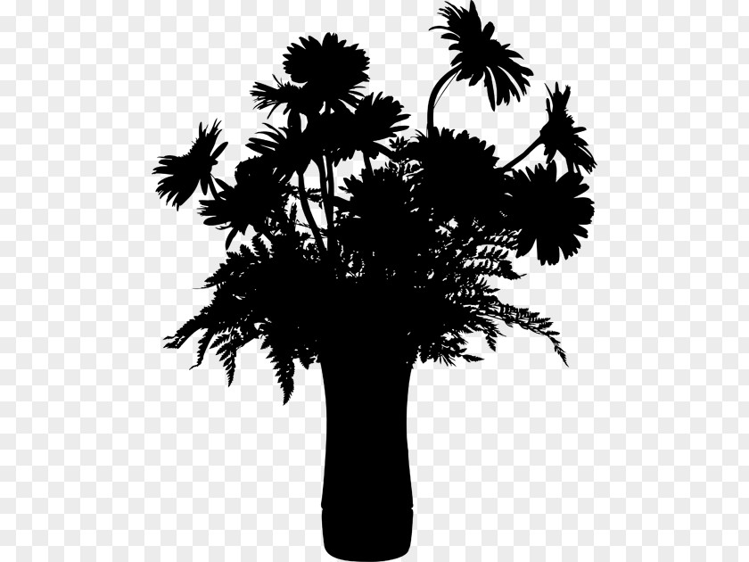 Asian Palmyra Palm Trees Leaf Silhouette Branching PNG