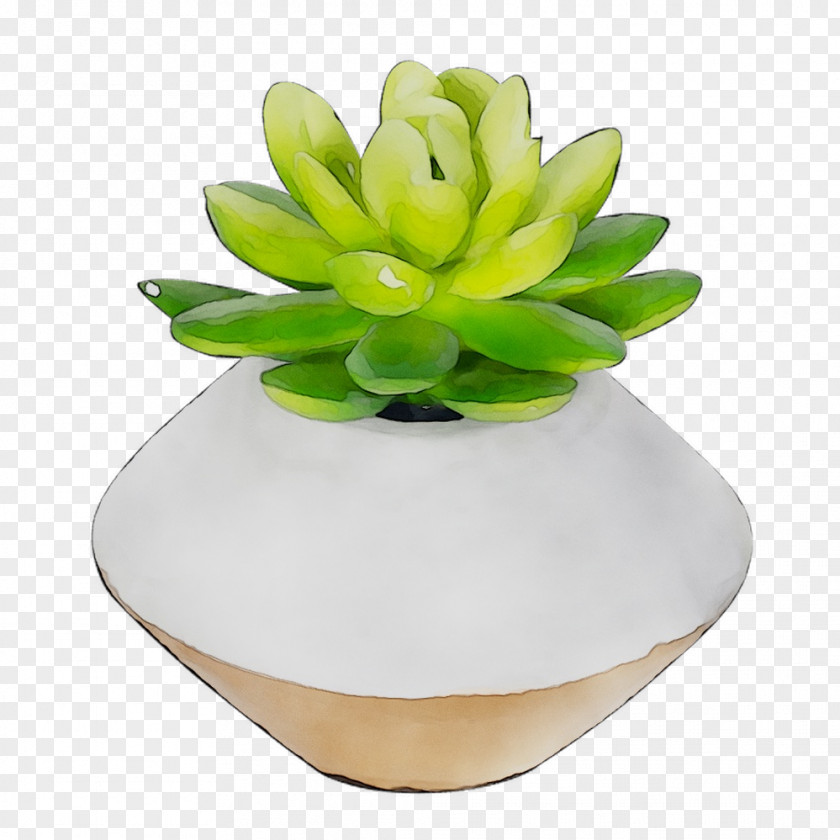 Flower Product Design PNG
