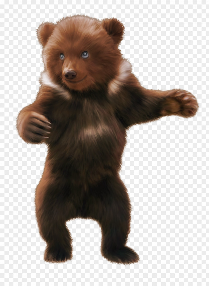 Gif Bear Animal Clip Art PNG