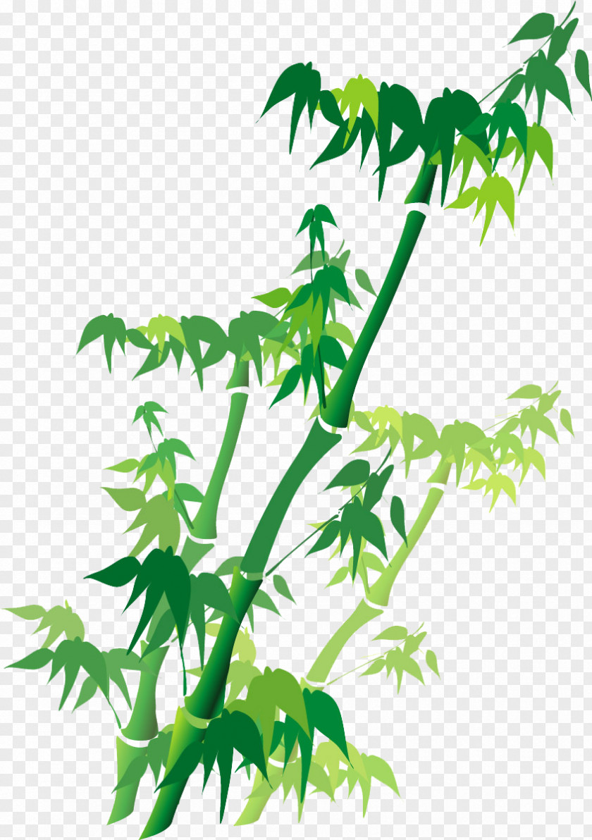 Hand-painted Bamboo Green Illustration PNG