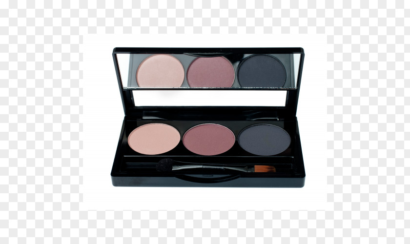 Makeup Palette Viseart Eye Shadow Cosmetics Bobbi Brown Telluride PNG