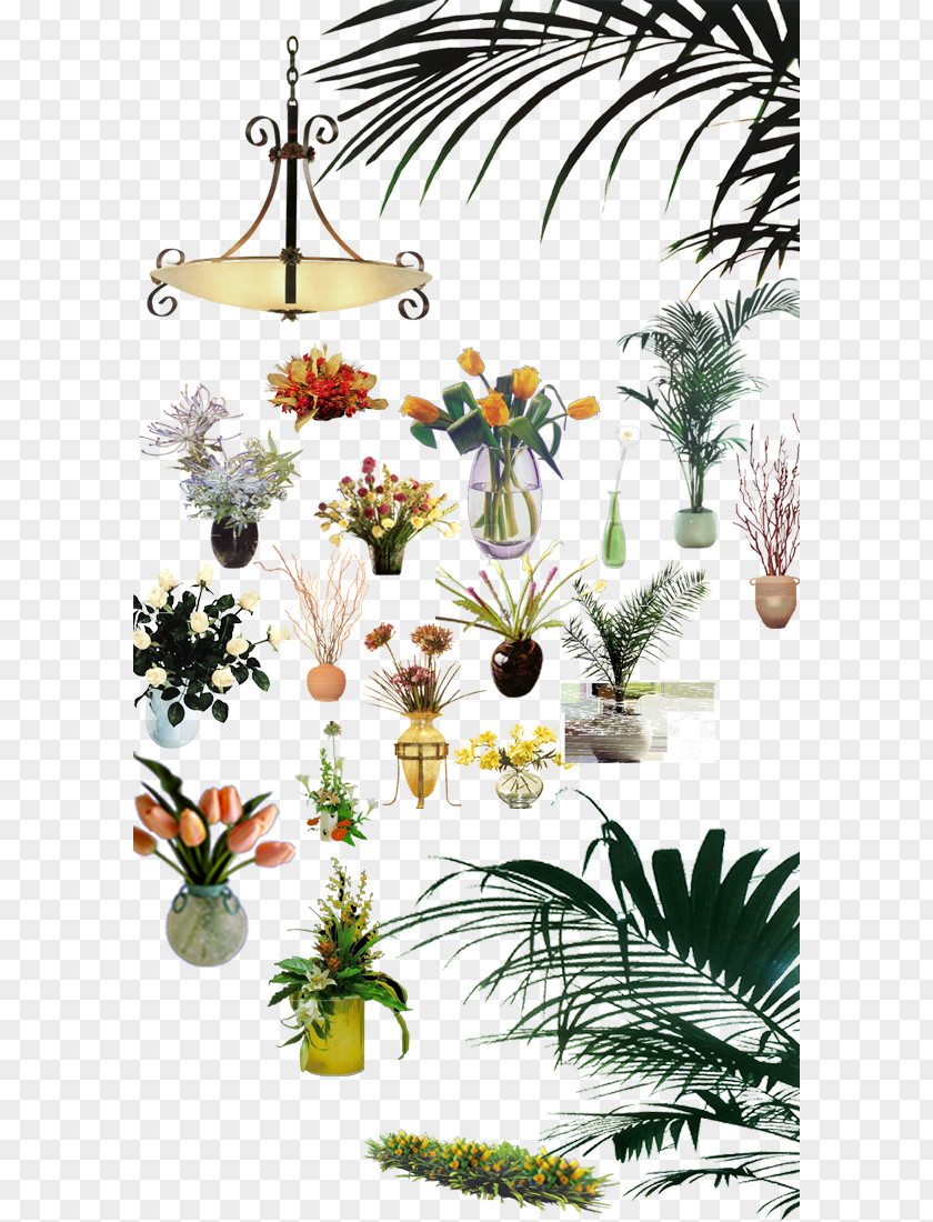 Vase Plant Interior Furnishings Designer Floral Design PNG