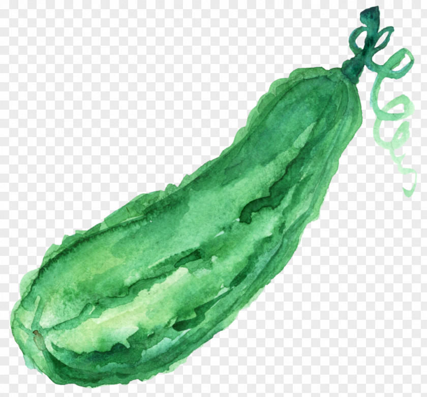 Cucumber Watercolor Painting Aguas Frescas Vegetable PNG