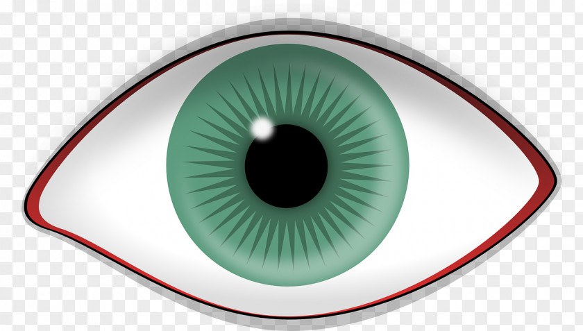 Eye Iris Human Retina Visual Perception PNG