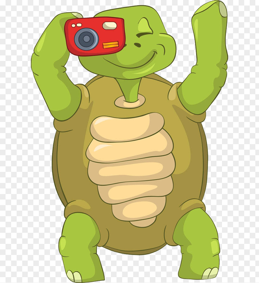 Turtle Camera Photography Photographer Clip Art PNG