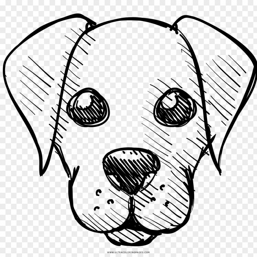 Cane Cave Of Dogs Drawing Coloring Book Line Art PNG