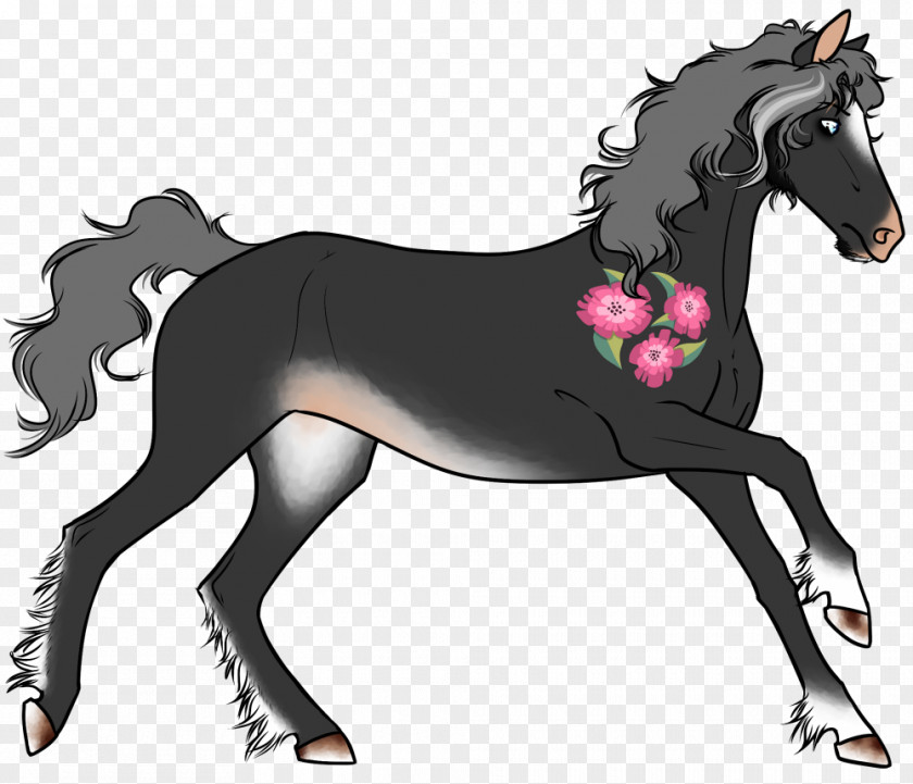 Mustang Mane Pony Foal Stallion PNG