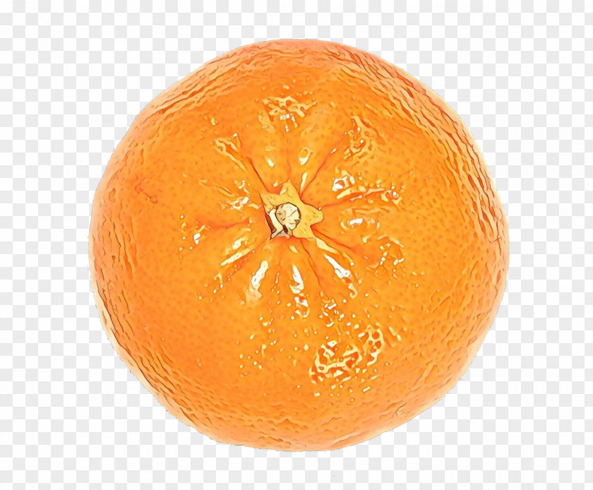 Persimmon Valencia Orange Winter Background PNG