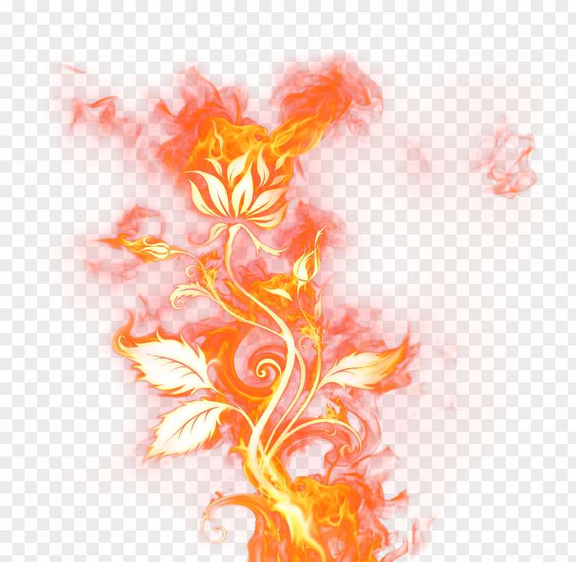 Beautiful Rose Of Fire Clipart Picture Pattern PNG