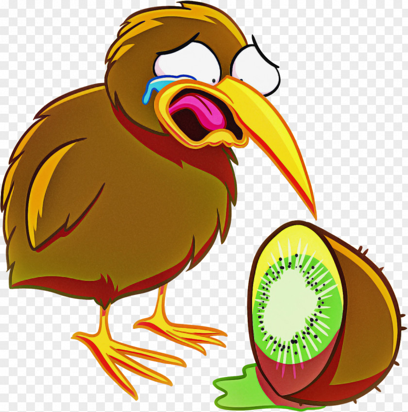 Bird Cartoon Beak Flightless Vulture PNG