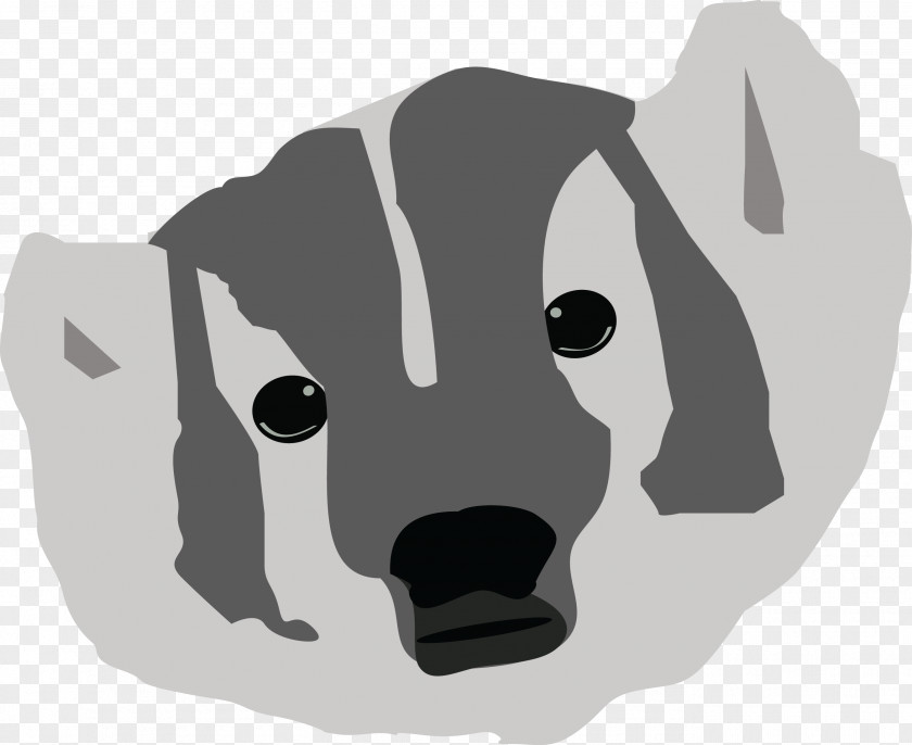 Dog Bear Cat Snout PNG