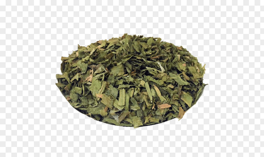 Especiarias Nilgiri Tea Sencha Herb Plant PNG