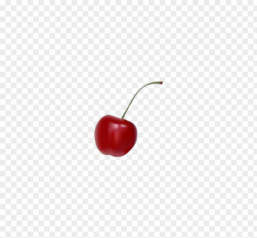 Hand-painted Cherry Drawing Wallpaper PNG