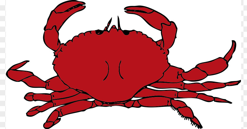 Chesapeake Blue Crab Crustacean PNG blue crab , Seafood s clipart PNG