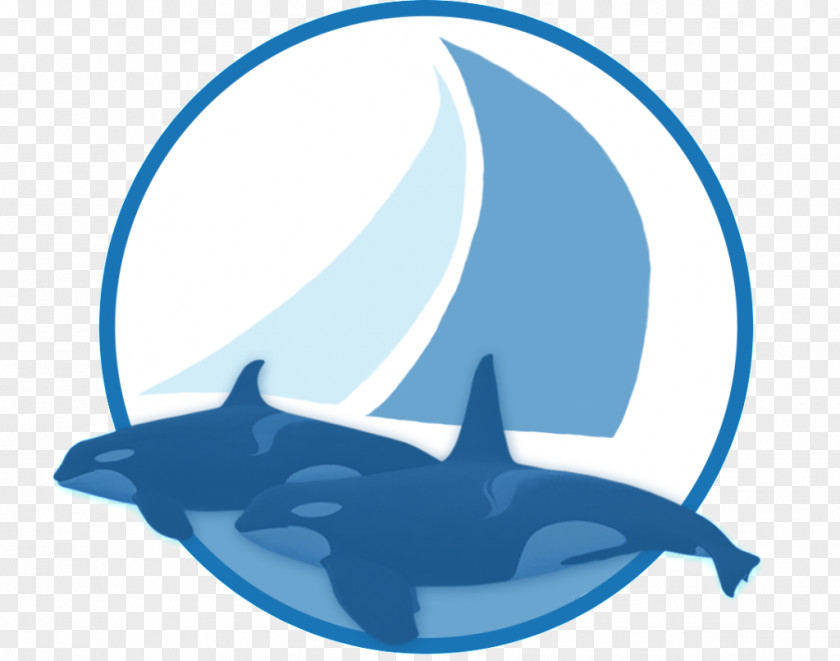 Dolphin Shark Line Clip Art PNG