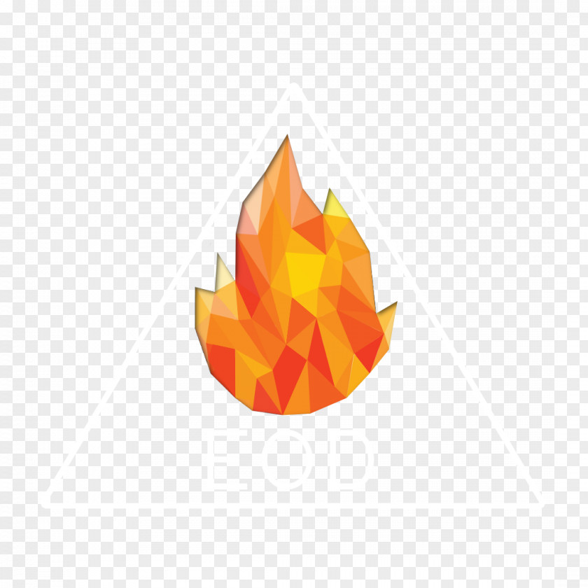 Fire Vector Graphics Torch Royalty-free Photograph PNG