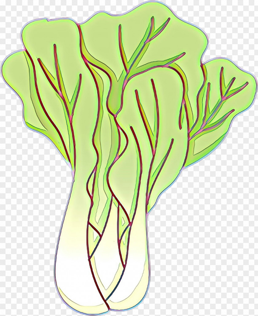 Leaf Vegetable Plant Cabbage Stem PNG