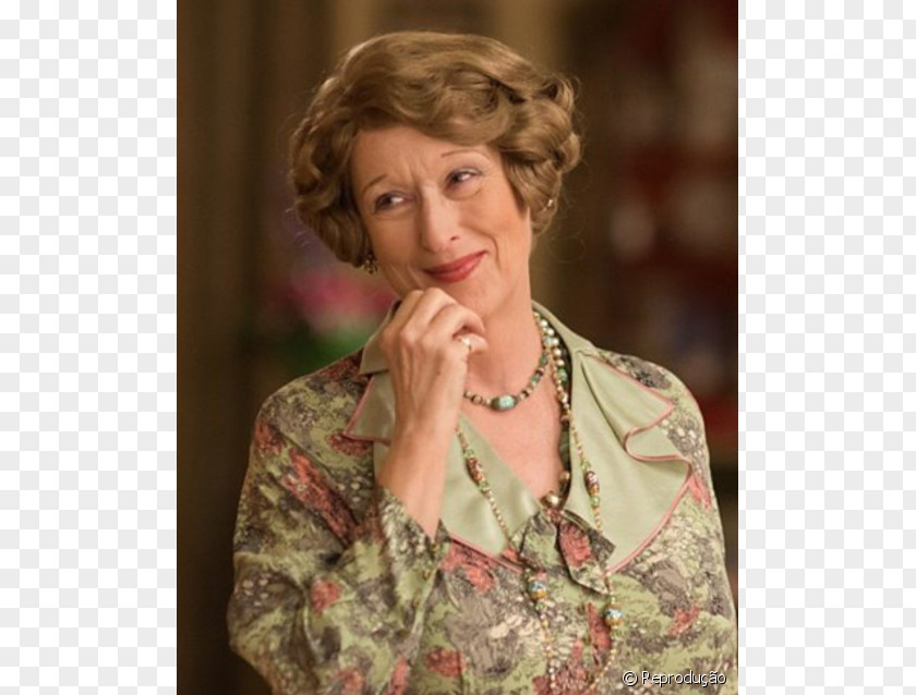 Streep Meryl Florence Foster Jenkins 89th Academy Awards Film Actor PNG