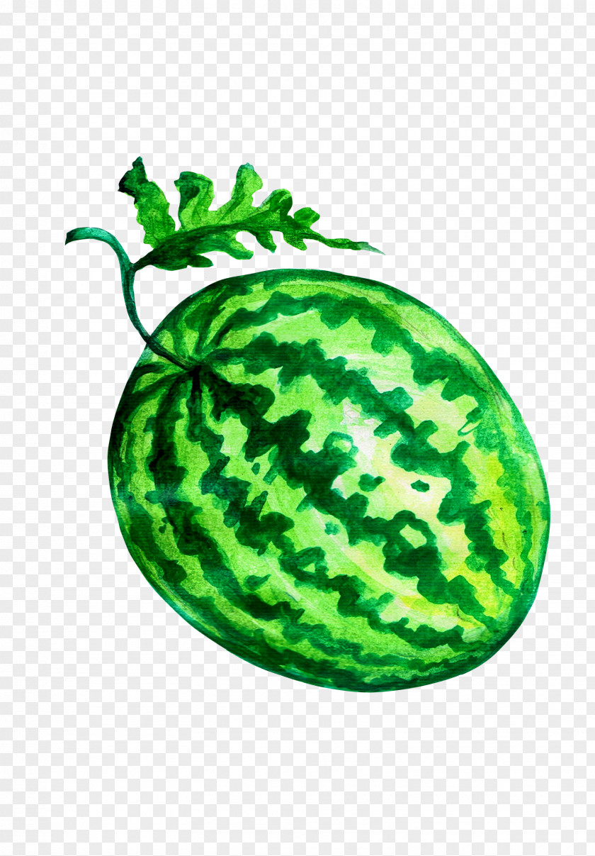 Watermelon Fruit 果肉 Vegetable Image PNG