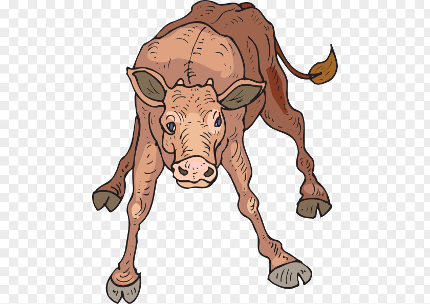 Calf Cliparts Beef Cattle Bull Clip Art PNG