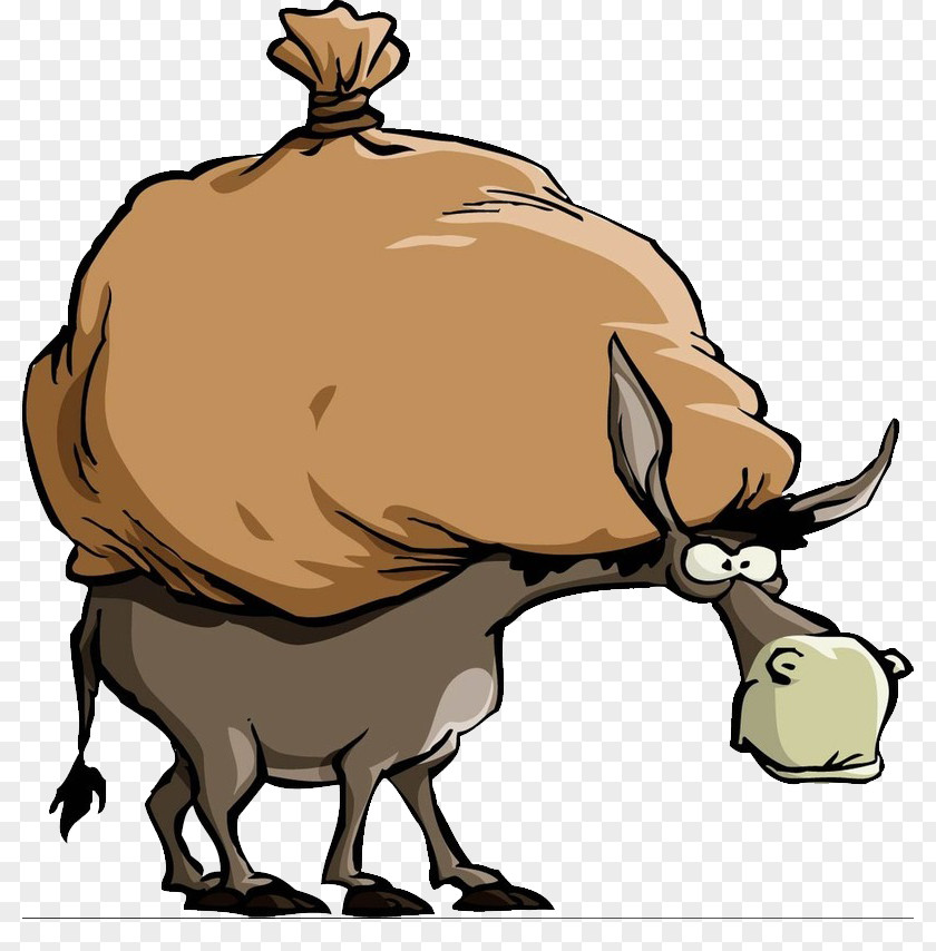 Donkey Mule Cartoon Clip Art PNG