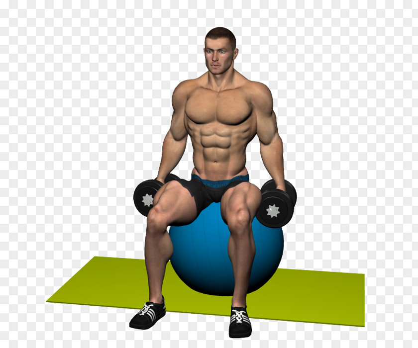 Exercise Balls Weight Training Deltoid Muscle Shoulder Trapezius PNG