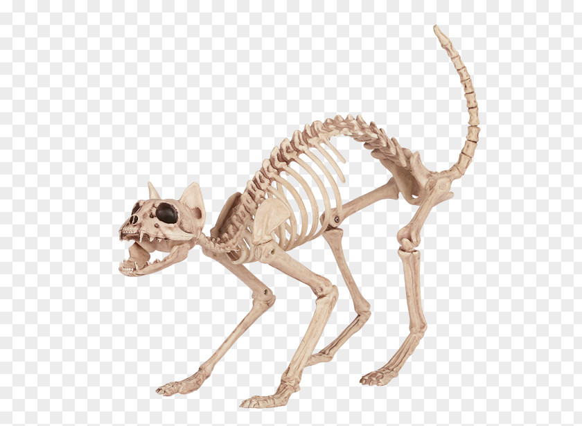 Bones Cat Litter Trays Skeleton Bone Tail PNG