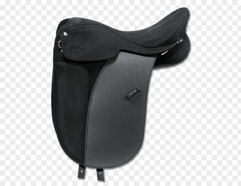 Dog Horse Saddle Icelandic Dressage Equestrian Tack PNG